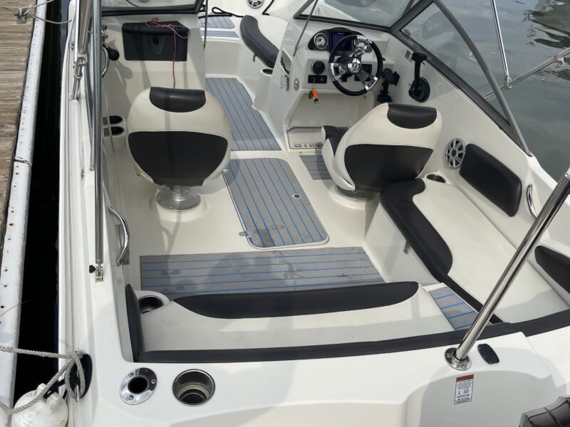 BOAT FUN IN THE SUN - STINGRAY STYLE! | AnchorsBook Photo BOAT FUN IN THE SUN - STINGRAY STYLE!