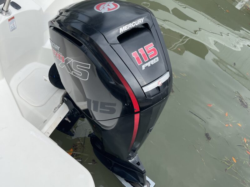 BOAT FUN IN THE SUN - STINGRAY STYLE! | AnchorsBook Photo BOAT FUN IN THE SUN - STINGRAY STYLE!