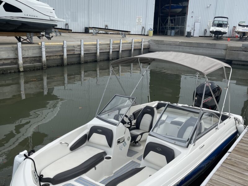 BOAT FUN IN THE SUN - STINGRAY STYLE! | AnchorsBook Photo BOAT FUN IN THE SUN - STINGRAY STYLE!