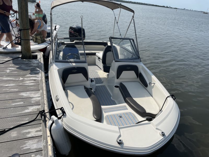 BOAT FUN IN THE SUN - STINGRAY STYLE! | AnchorsBook Photo BOAT FUN IN THE SUN - STINGRAY STYLE!