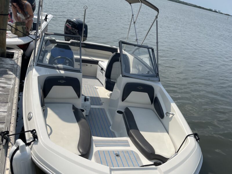 BOAT FUN IN THE SUN - STINGRAY STYLE! | AnchorsBook Photo BOAT FUN IN THE SUN - STINGRAY STYLE!