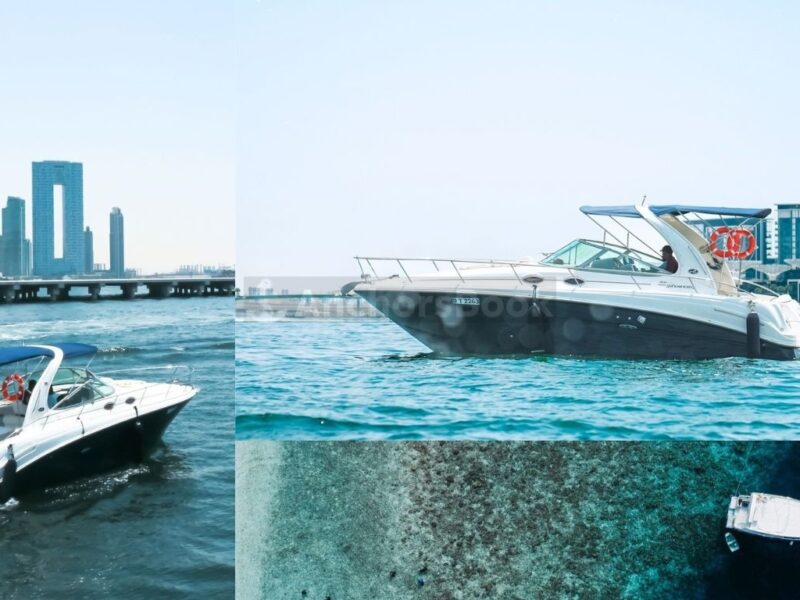 Sundancer 38ft – Private Group Yacht Rental | AnchorsBook Photo Sundancer 38ft – Private Group Yacht Rental