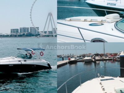 Blue Mermaid - Private 64ft Yacht For Up To 25 Guests | AnchorsBook Photo Sundancer 38ft – Private Group Yacht Rental