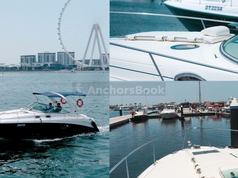 Sundancer 38ft – Private Group Yacht Rental | AnchorsBook Photo Sundancer 38ft – Private Group Yacht Rental