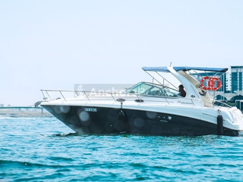Sundancer 38ft – Private Group Yacht Rental | AnchorsBook Photo Sundancer 38ft – Private Group Yacht Rental