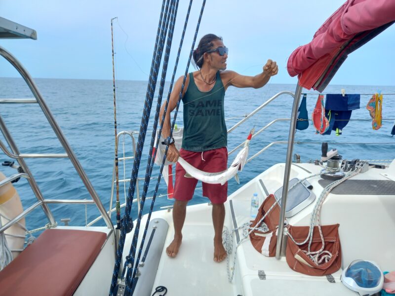 Sailing Catamaran In Samui - Thailand | AnchorsBook Photo Sailing Catamaran In Samui - Thailand