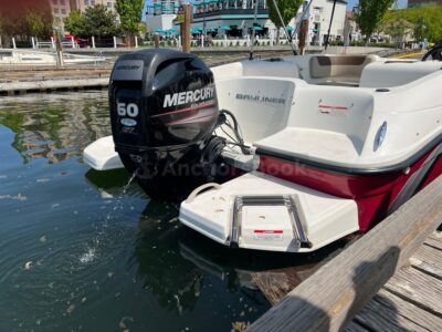 Beautiful 40 Foot Monk McQueen | AnchorsBook Photo Bayliner Element M17, 60HP