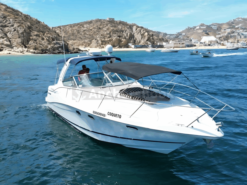 Your Own Private Yacht in Cabo – Snorkeling, Crew & Coastal Views | AnchorsBook Photo Your Own Private Yacht in Cabo – Snorkeling, Crew & Coastal Views