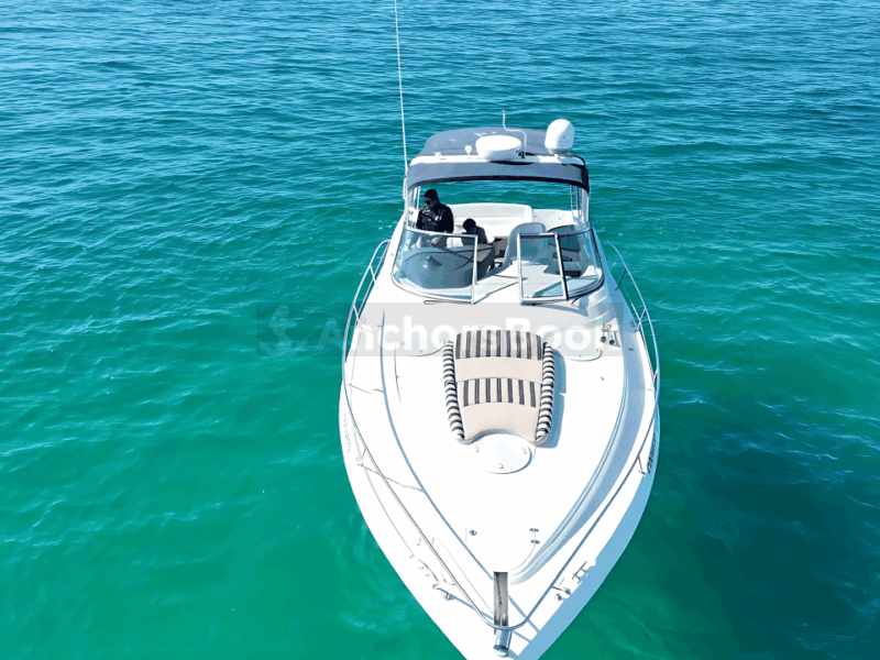 Your Own Private Yacht in Cabo – Snorkeling, Crew & Coastal Views | AnchorsBook Photo Your Own Private Yacht in Cabo – Snorkeling, Crew & Coastal Views