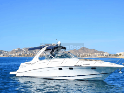Luxury Mega Yacht 100' Limousine of the Sea 2: Puerto Vallarta (4 Hour Minimum) | AnchorsBook Photo Your Own Private Yacht in Cabo – Snorkeling, Crew & Coastal Views