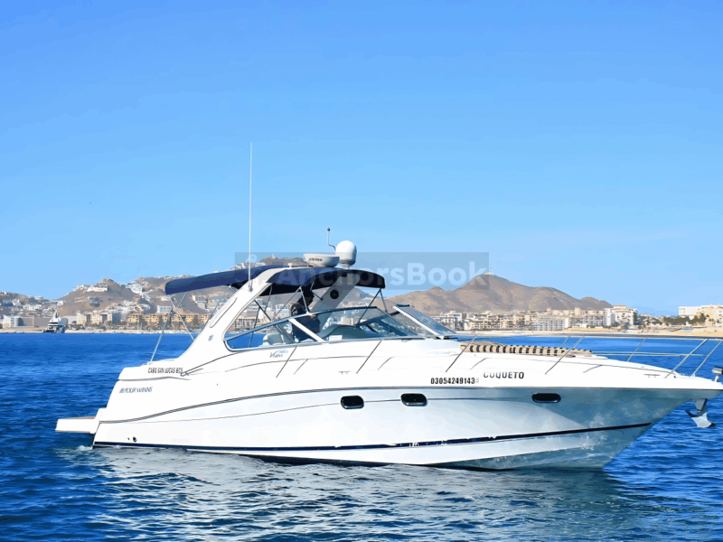 Your Own Private Yacht in Cabo – Snorkeling, Crew & Coastal Views | AnchorsBook Photo Your Own Private Yacht in Cabo – Snorkeling, Crew & Coastal Views