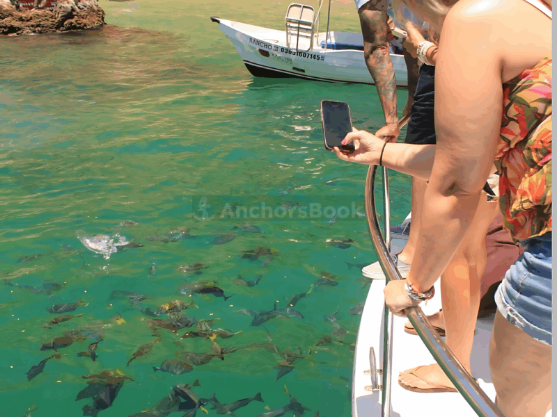 Your Own Private Yacht in Cabo – Snorkeling, Crew & Coastal Views | AnchorsBook Photo Your Own Private Yacht in Cabo – Snorkeling, Crew & Coastal Views