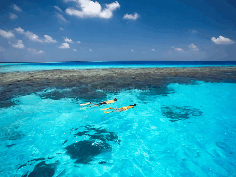Cabo Private Yacht Cruise to El Arco with Snorkeling Adventure | AnchorsBook Photo Cabo Private Yacht Cruise to El Arco with Snorkeling Adventure