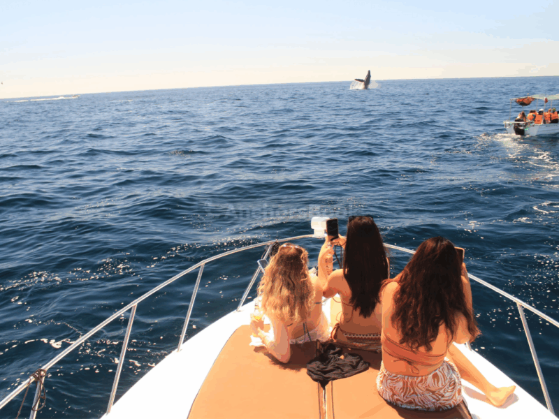 Cabo Private Yacht Cruise to El Arco with Snorkeling Adventure | AnchorsBook Photo Cabo Private Yacht Cruise to El Arco with Snorkeling Adventure