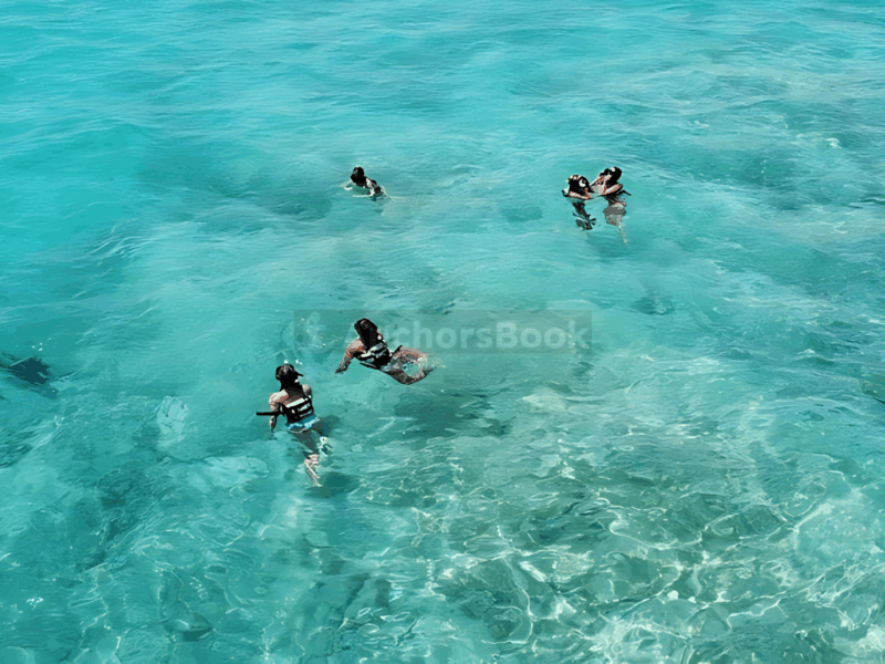 Punta Cana Catamaran Party– Snorkeling, Open Bar, Music & Pickup | AnchorsBook Photo Punta Cana Catamaran Party– Snorkeling, Open Bar, Music & Pickup
