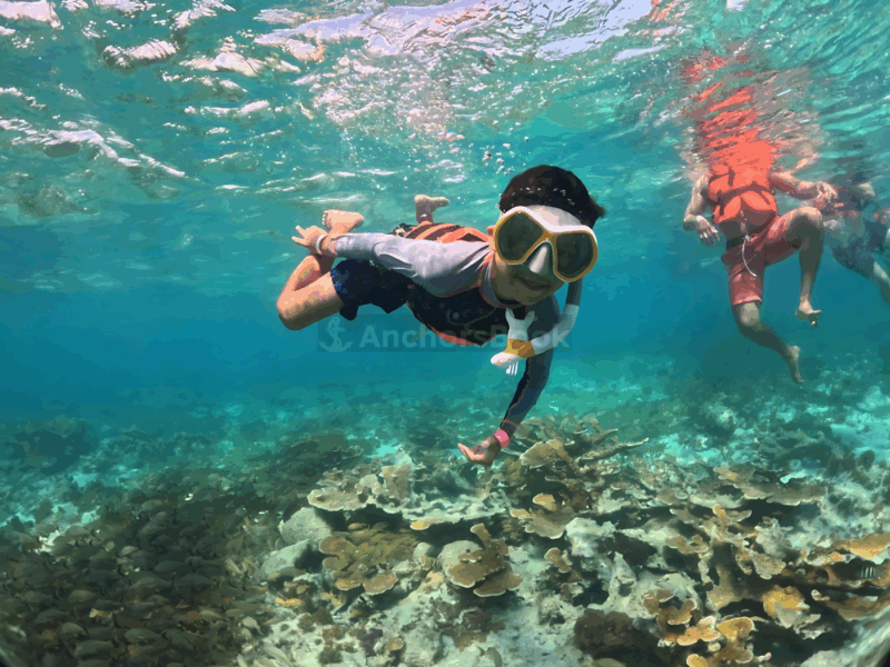 Punta Cana Catamaran Party– Snorkeling, Open Bar, Music & Pickup | AnchorsBook Photo Punta Cana Catamaran Party– Snorkeling, Open Bar, Music & Pickup