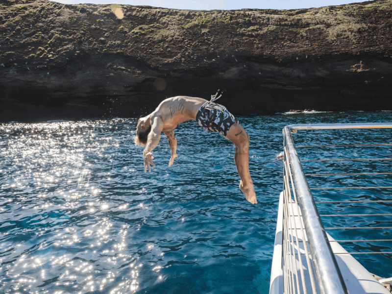 Costa Rica Sunset Catamaran: Snorkeling, Drinks & Fresh Bites | AnchorsBook Photo Costa Rica Sunset Catamaran: Snorkeling, Drinks & Fresh Bites