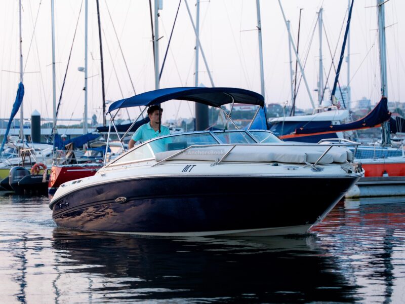 Oporto boat tour | AnchorsBook Photo Oporto boat tour