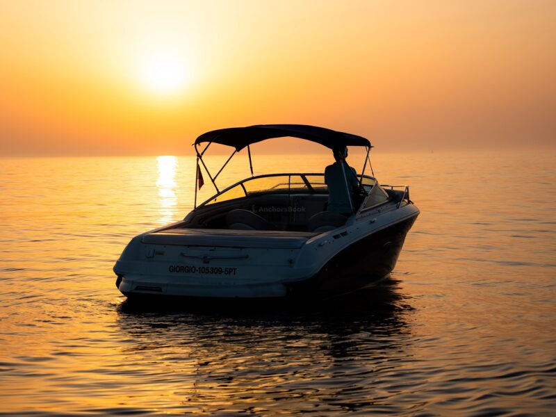 Oporto boat tour | AnchorsBook Photo Oporto boat tour
